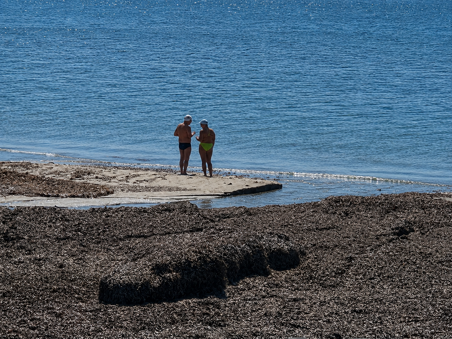 Two swimmers at the water’s edge